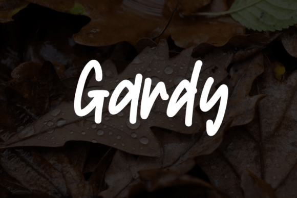 Gardy Typeface: A Modern Script for Editorial Design