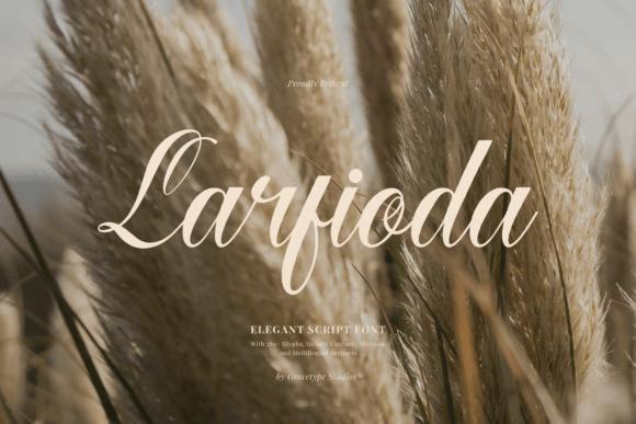Larfioda: A Script Typeface for Digital Elegance